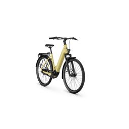 KALKHOFF IMAGE L SEASON Dames Acaciayellow Matt 50cm 2026 (4000990489713)