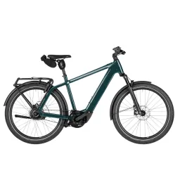 RIESE UND MULLER Charger5 vario T Pine 53 cm 53cm 53 cm 2027 (4070477108994)