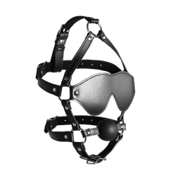 Ouch! by shots Blindfolded Head Harness met Solid Ball Gag - Zwart (8714273050939)