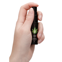 Pharmquests by shots CBD Cannabis Vertraging Spray - 0,5 fl oz / 15 ml (8714273531629)
