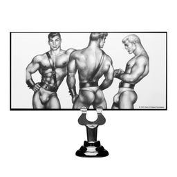 Xr brands Buttplug (848518018540)