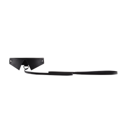 Ouch! by shots Exclusieve Halsband  Leash (8714273580955)