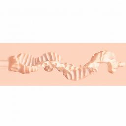 Xkin by shots Raw - Pure Stretch - TPE Grote Masturbator - 355g - Vlees (8714273028914)