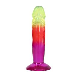 Doc johnson Classic Dong - 6.5 / 16,5 cm - Rainbow (782421106249)