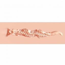 Xkin by shots Pinup Dolls - Sun Kissed Beach Babe Molly Blowtide - TPE Kleine Masturbator - 127g - Vlees (8714273028624)