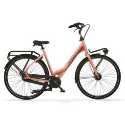 Cortina Common Family L57 Metallic Peach Gloss ND7 (8719461061285)