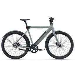 RALEIGH ONE SAGE GREY (8713568562218)