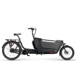 Batavus FIER-2 (2W) ENVIOLO (8713568470070)