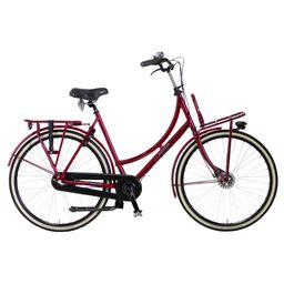 Pointer Grande Plus DeepRed 51cm 2024 (1142123411)