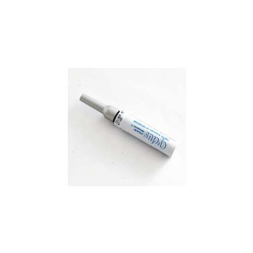 Cyclus lakstift zilver (9999999007910)