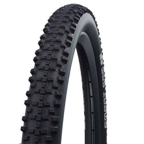 Schwalbe Bub 20x190 sc 47-406 smart sam kg zw (4026495927642)
