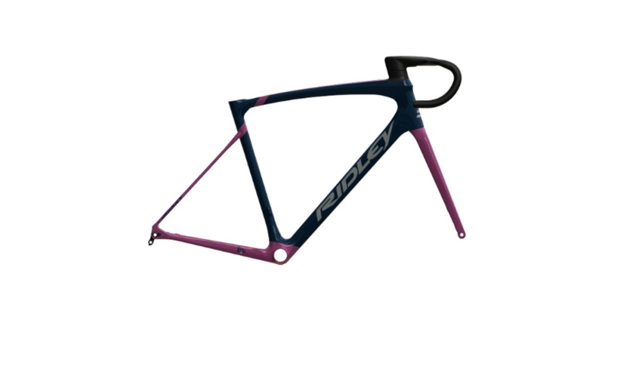 Ridley Liz SLIC Ultegra, Paars/rose (LSD30Cs)