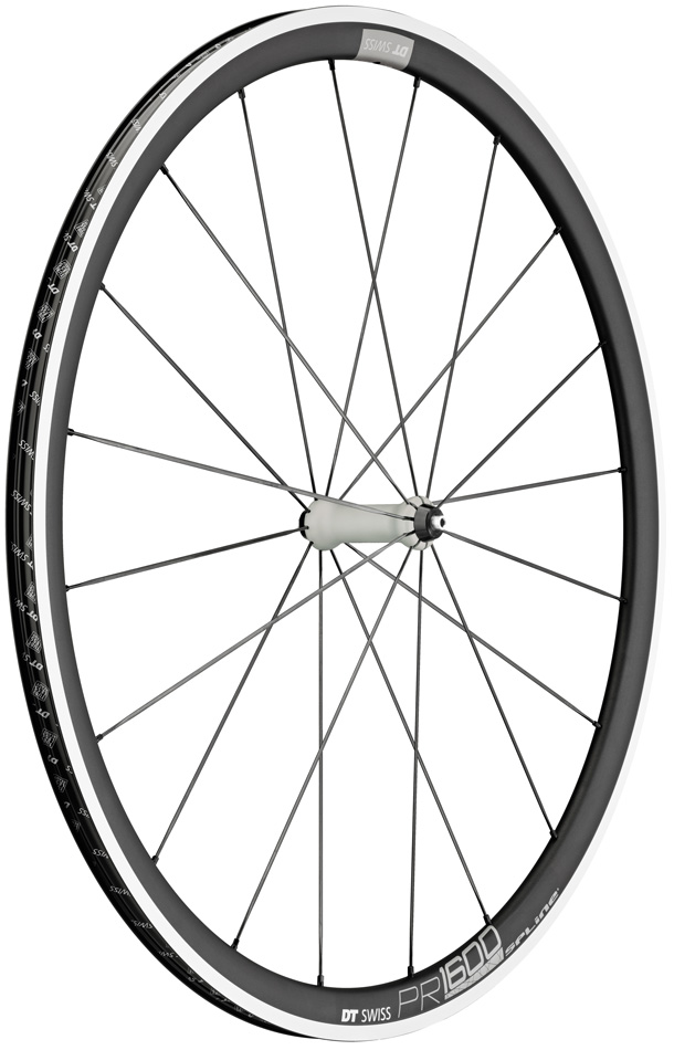 Dt swiss Wiel v 28 dt pr1600 spline 32 100/5 (7613052052830)