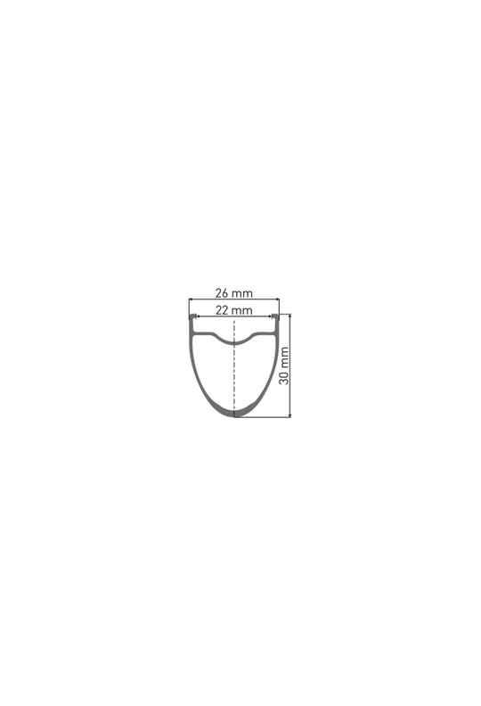 Dt swiss Wiel v 28 dt e1800 spline 30 wts 100/12 (7613052545608)