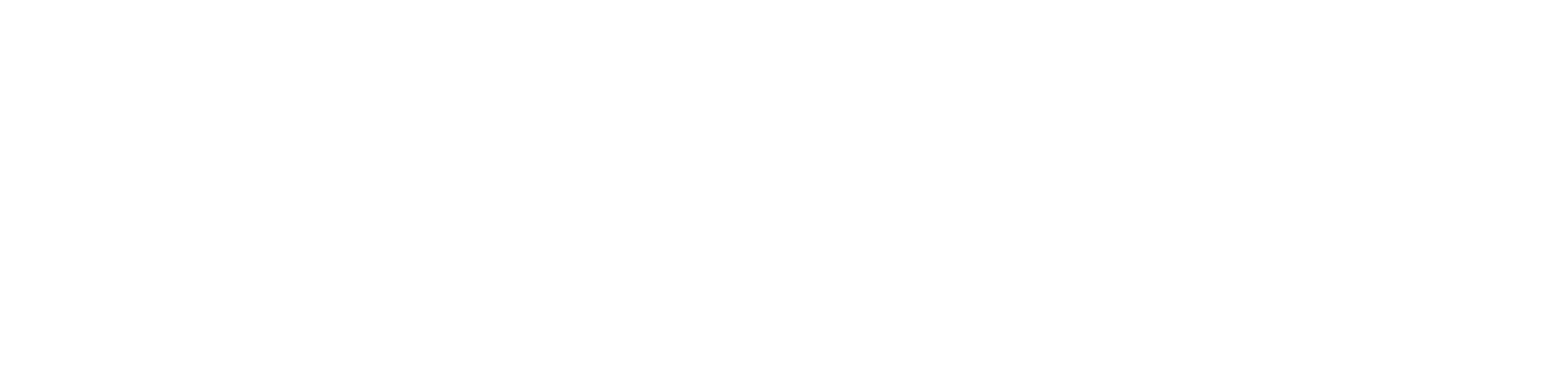 Logo Zwaan Bikes Rotterdam