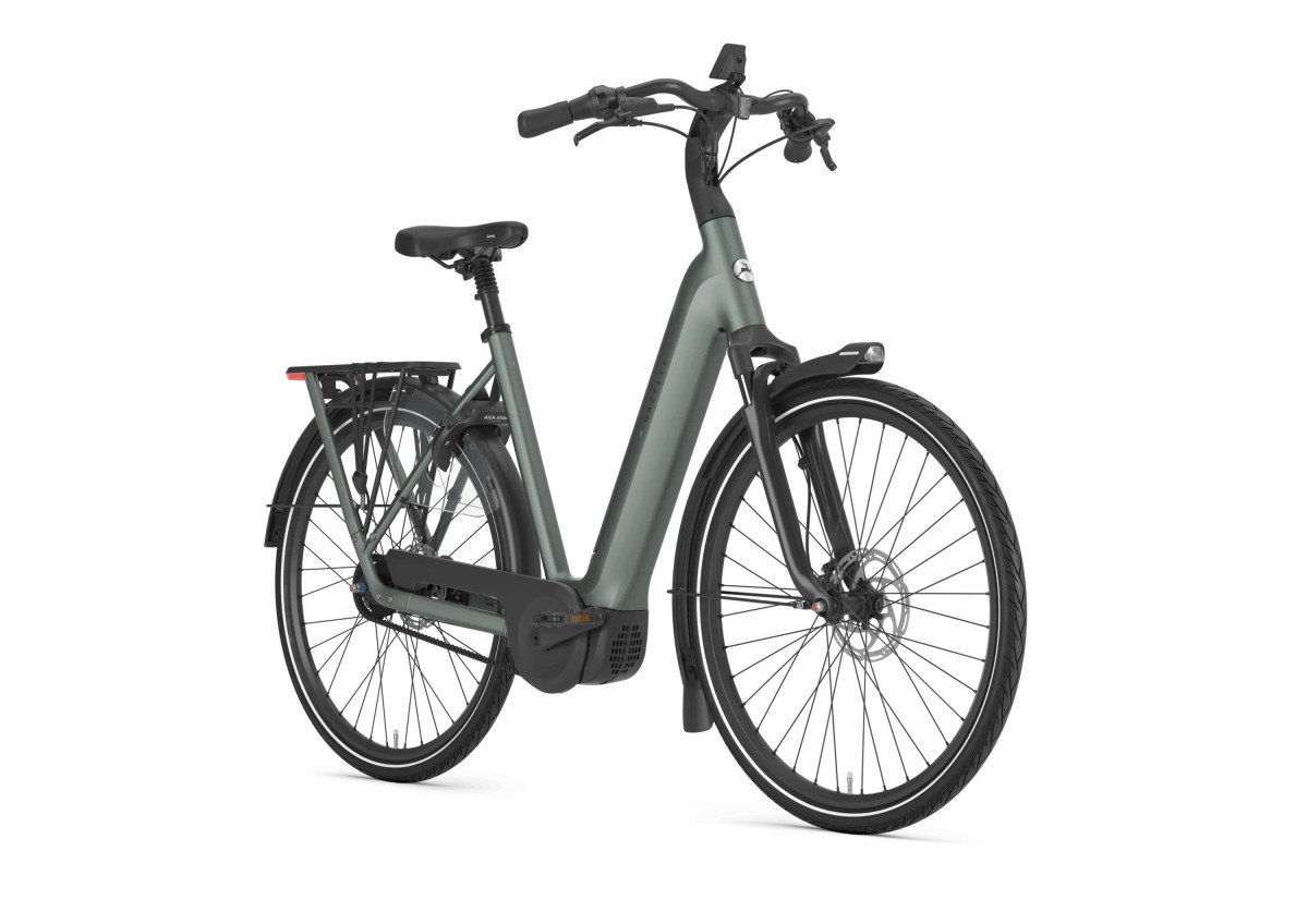 GAZELLE Grenoble C5+ First Edition Dames Twilight Green Mat 57cm 2027 (8717231376744)