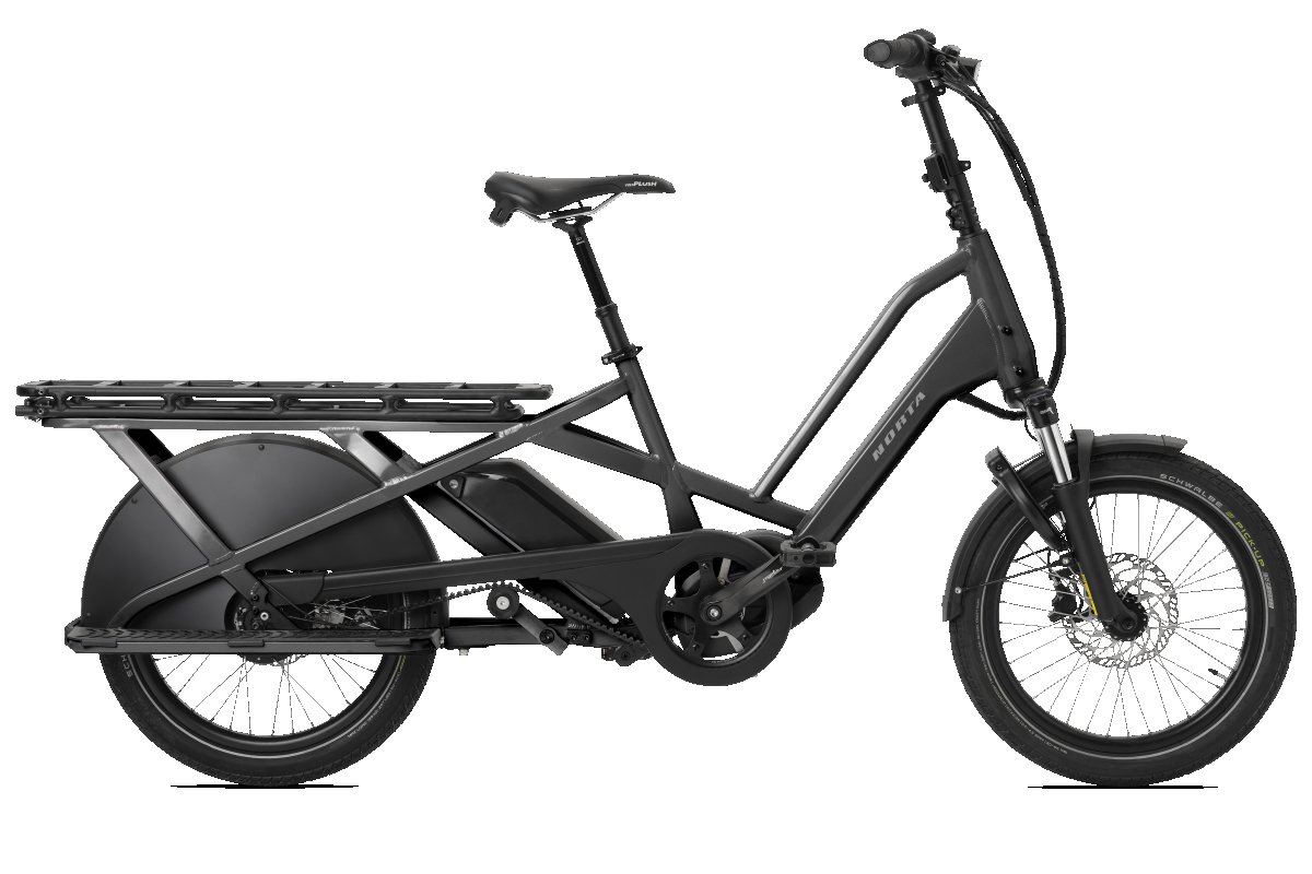Norta C-7040 Uni 2026 (F.14518)