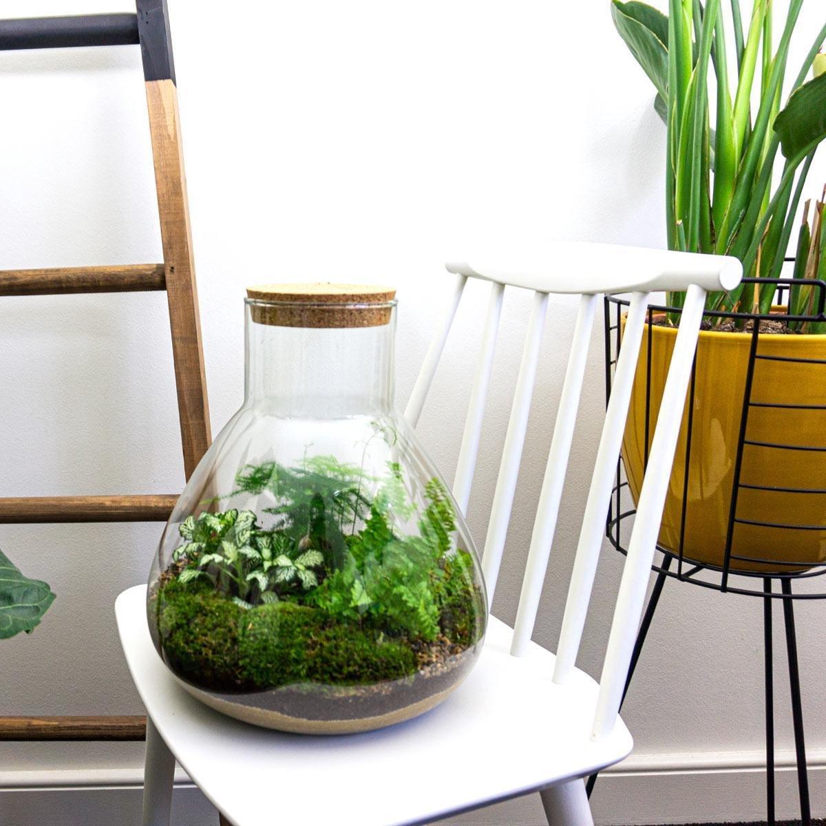Urbanjngl DIY terrarium - Sam XL - ↕ 35 cm - Normal (8719326972411)