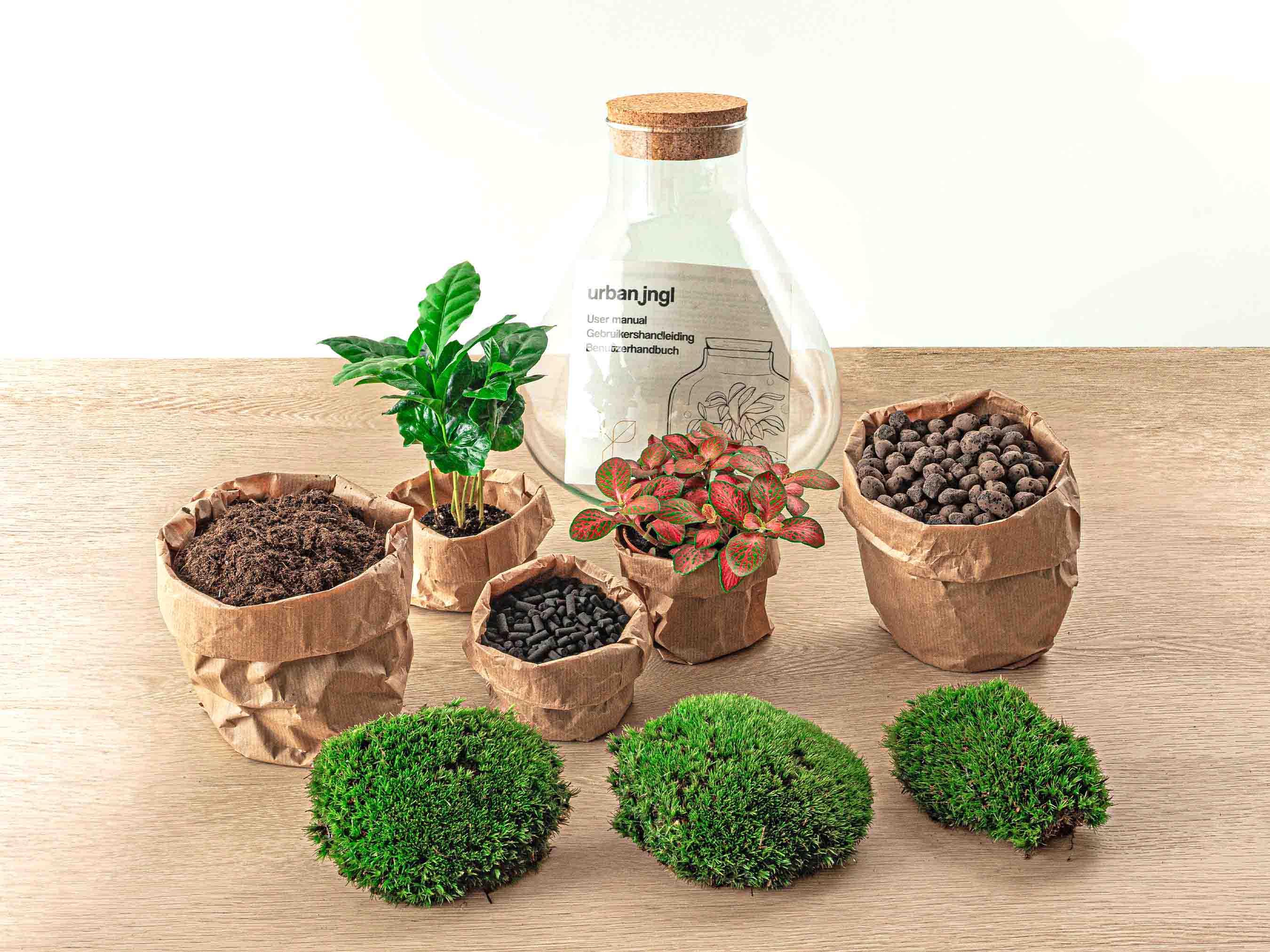 Urbanjngl DIY terrarium - Sammie Coffea - ↕ 27 cm - Normal (8720872020396)
