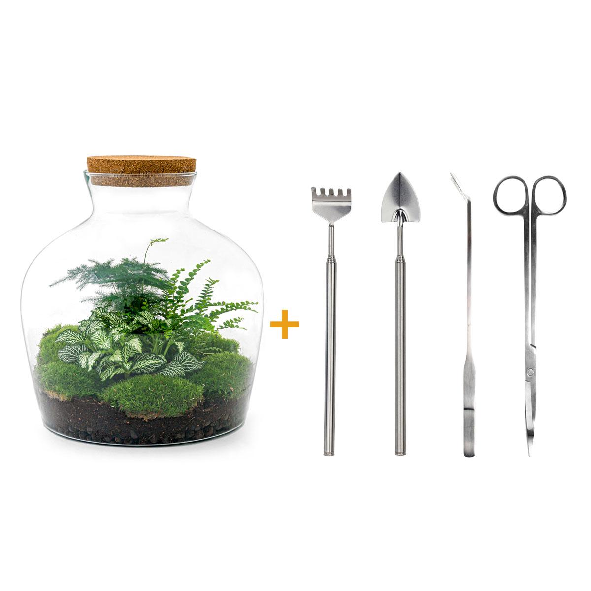 Urbanjngl DIY terrarium - Fat Joe Groen - ↕ 30 cm - Rake + Shovel + Tweezer + Scissors (8720726958660)