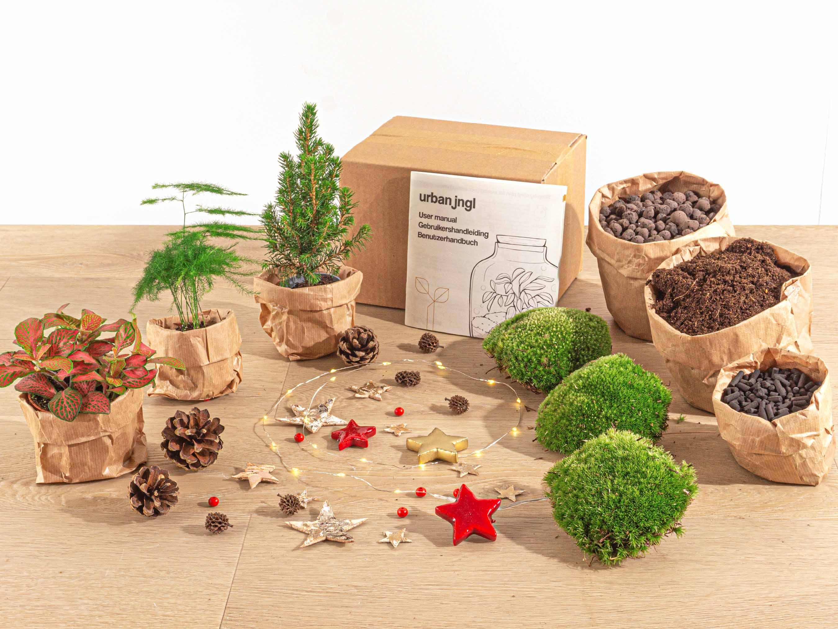 Urbanjngl Planten terrarium pakket - Mini-kerstboom - 3 planten -  Navulling & Startpakket - DIY Christmas (23439)