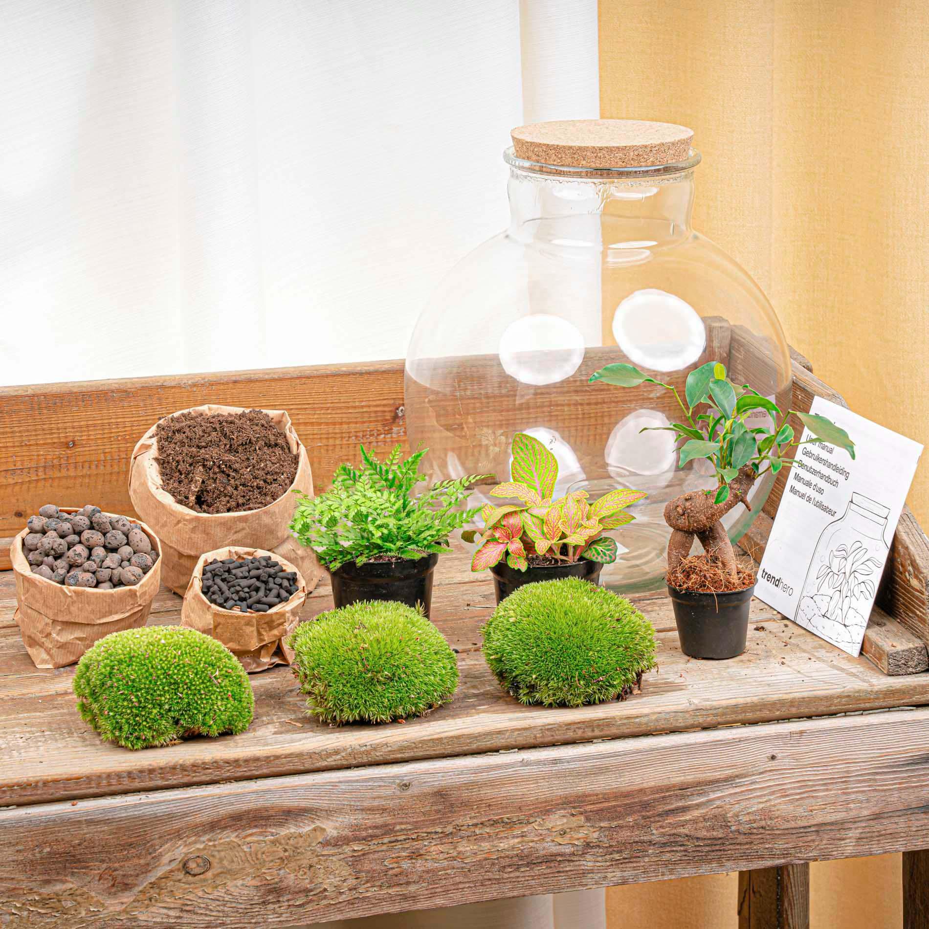 Urbanjngl DIY terrarium - Bolder Bob Bonsai - ↕ 30 cm - Rake + Shovel + Tweezer (8720726958509)