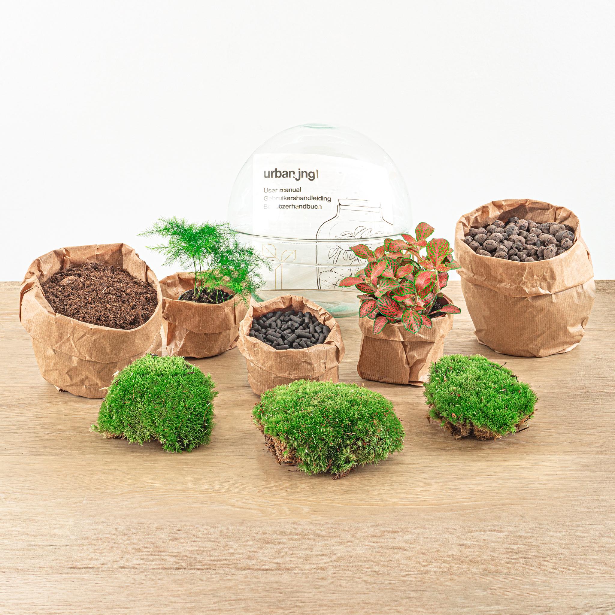 Urbanjngl DIY terrarium - Dome Red - ↕ 20 cm - Rake + Shovel + Tweezer (8720726958776)