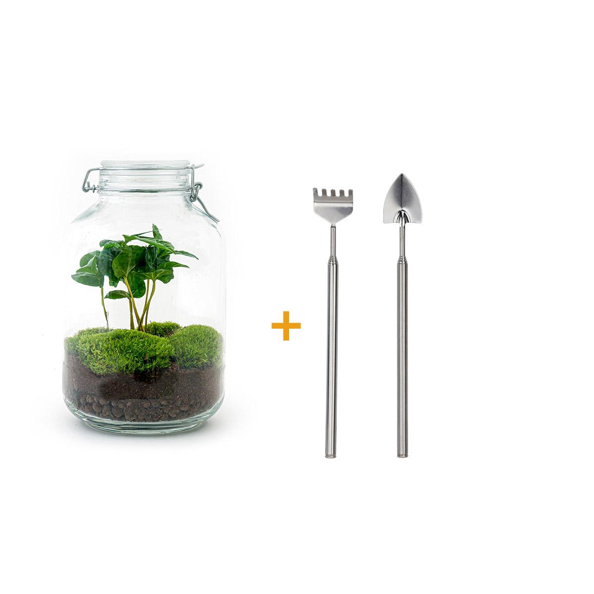 Urbanjngl DIY terrarium - Jar - Coffea Arabica - ↕ 28 cm - Rake + Shovel (8720872020280)