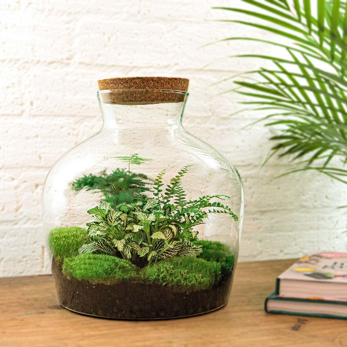 Urbanjngl DIY terrarium - Fat Joe Groen - ↕ 30 cm - Rake + Shovel + Tweezer (8720726958653)