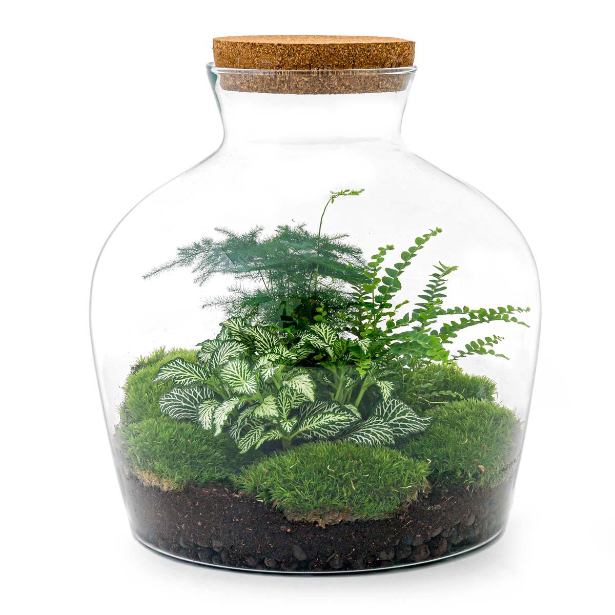 Urbanjngl DIY terrarium - Fat Joe Groen - ↕ 30 cm - Rake + Shovel + Tweezer (8720726958653)