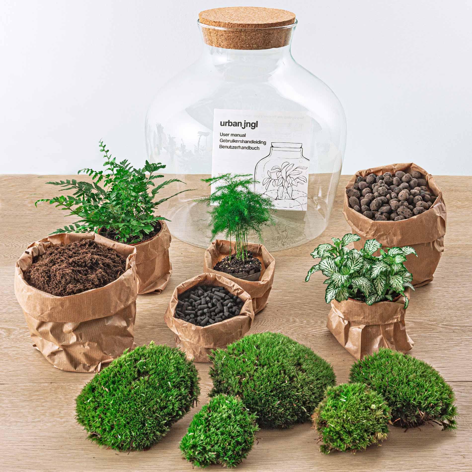 Urbanjngl DIY terrarium - Fat Joe Groen - ↕ 30 cm - Rake + Shovel + Tweezer (8720726958653)