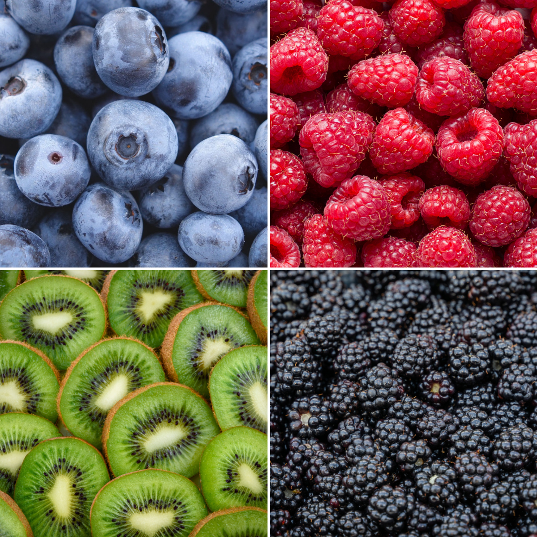 Plants by frank "Zomervruchten" BIO Fruitplanten mix set van 4 verschillende soorten (8721001421053)
