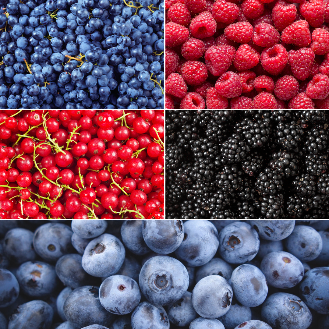 Plants by frank "Vruchten oase" BIO Fruitplanten mix set van 5 verschillende soorten (8721001421022)