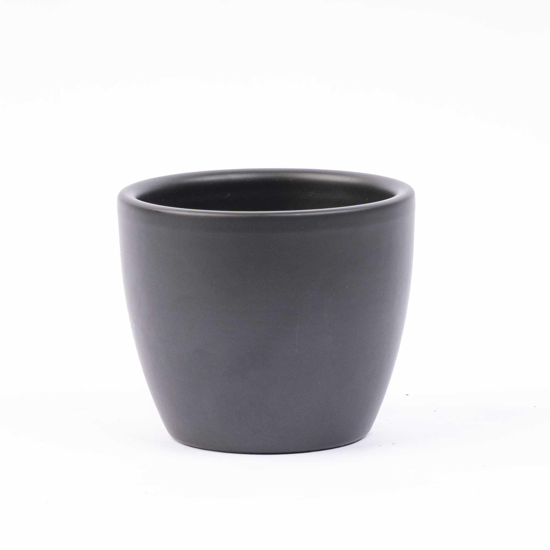 Mini planten set 6 - Inclusief 6x pot Boule Antraciet (8720872023458)