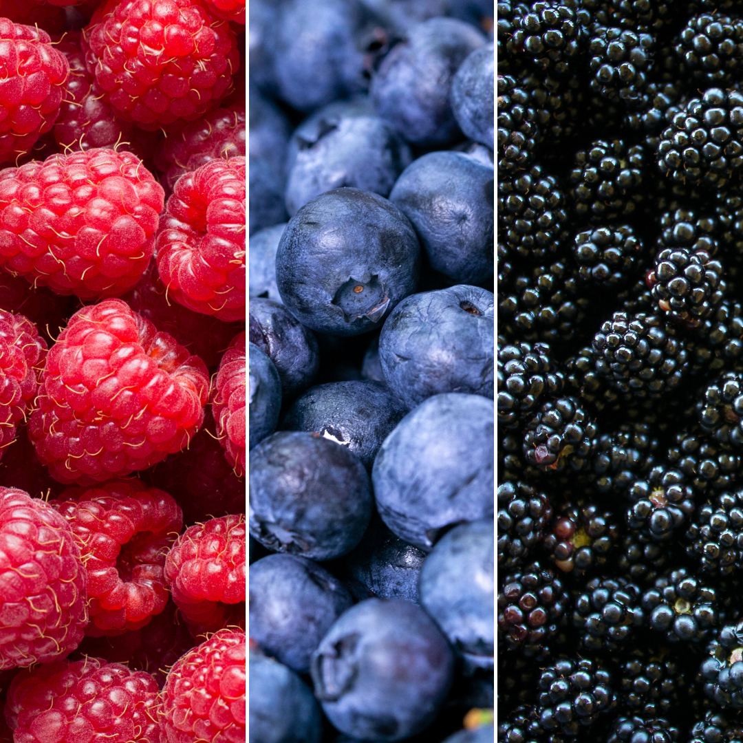 Plants by frank "Vruchten feestje" BIO Fruitplanten mix set van 3 verschillende soorten (8721001421046)