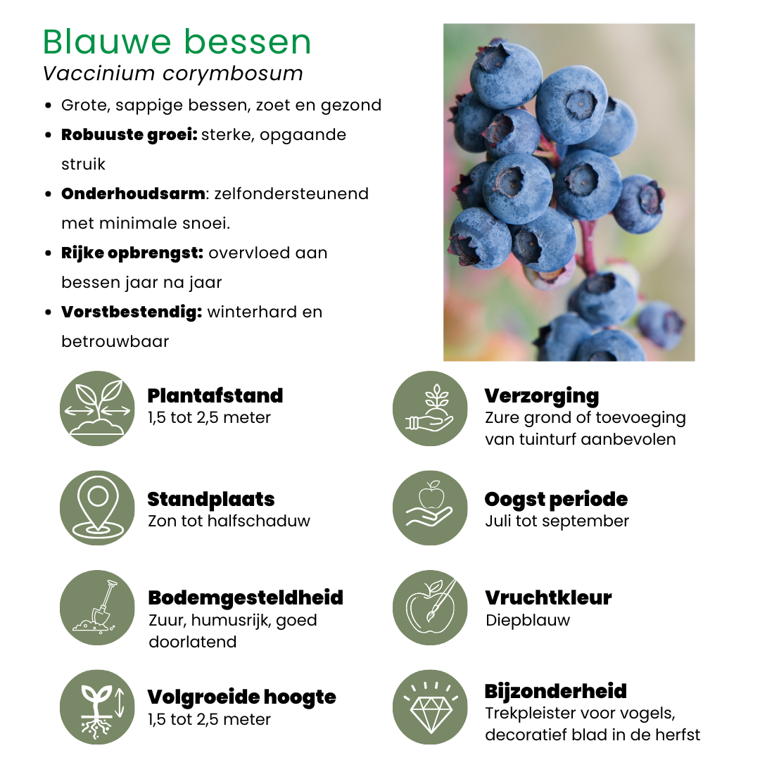 Plants by frank "Vruchten feestje" BIO Fruitplanten mix set van 3 verschillende soorten (8721001421046)