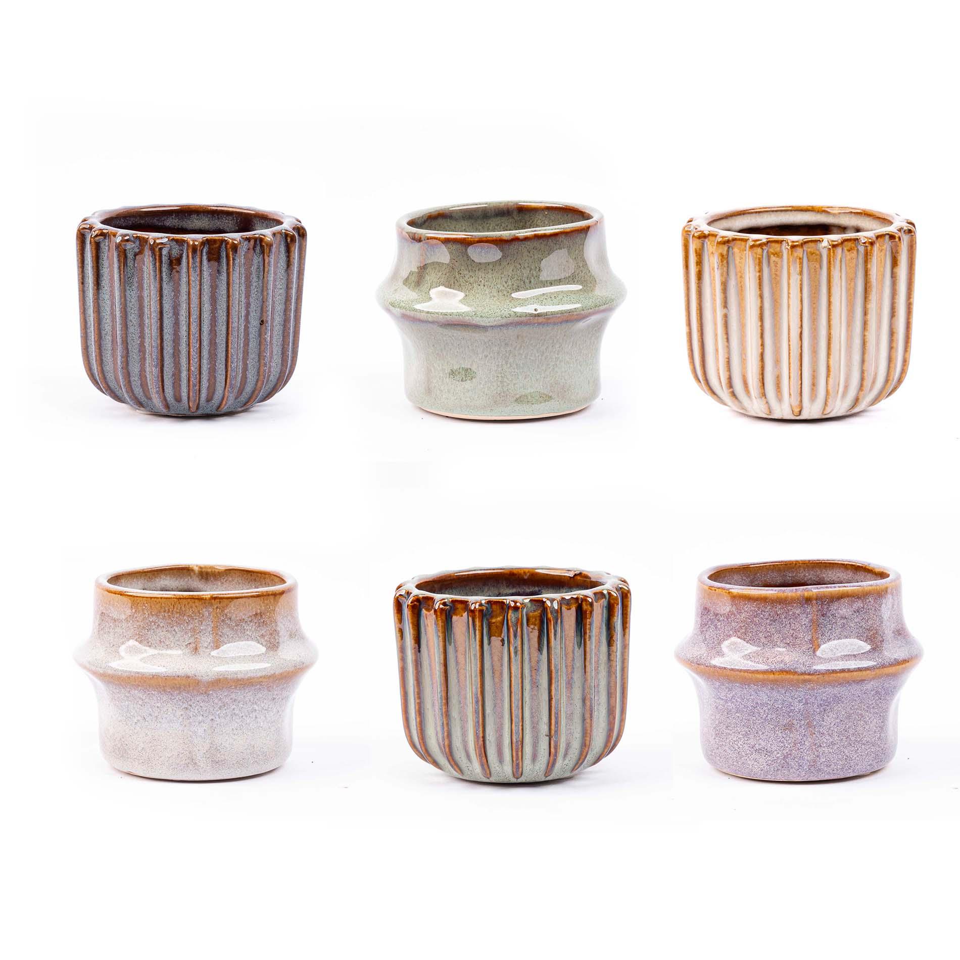 Mini planten set 6 - Inclusief pot set Barcelona (8720872023380)