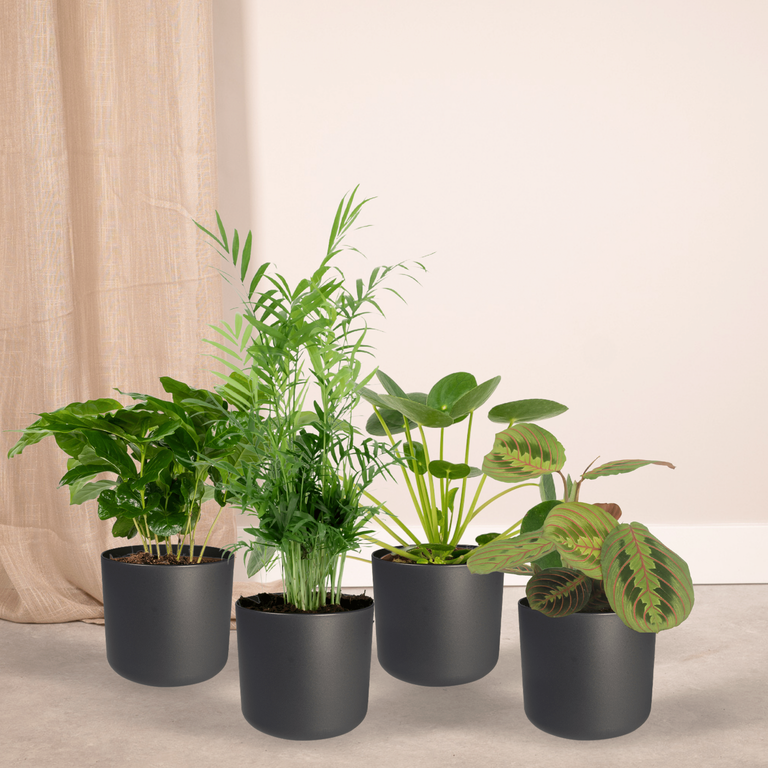 Diervriendelijke plantenbox - 4 stuks (8720634287159)