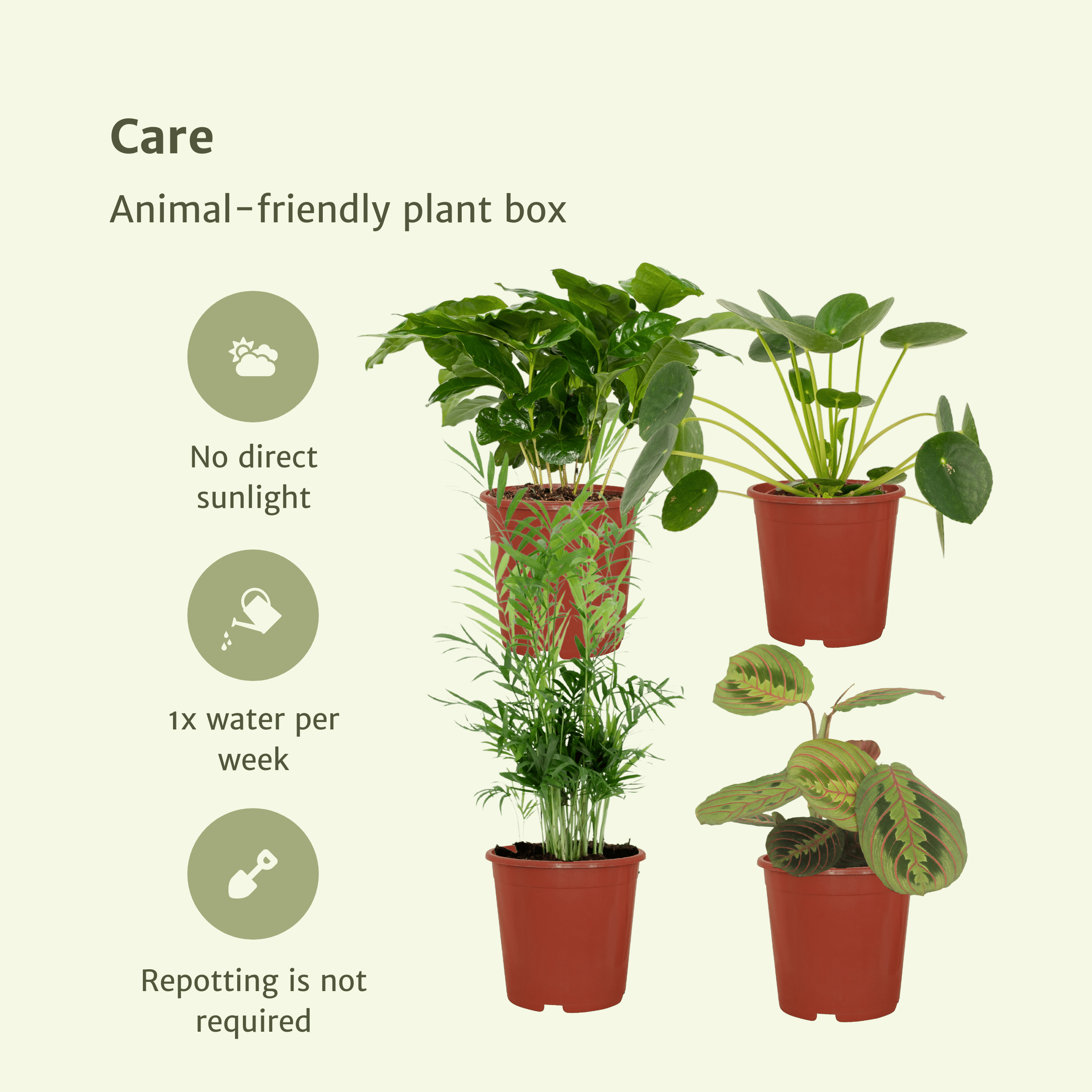 Diervriendelijke plantenbox - 4 stuks (8720634287159)