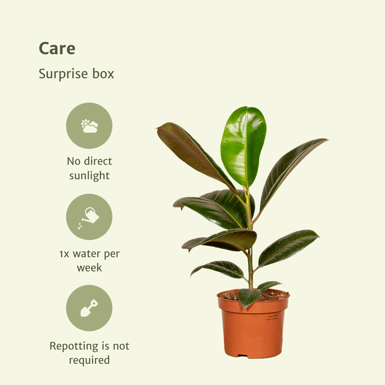 Verrassingsbox - - x10 (8720634285681)