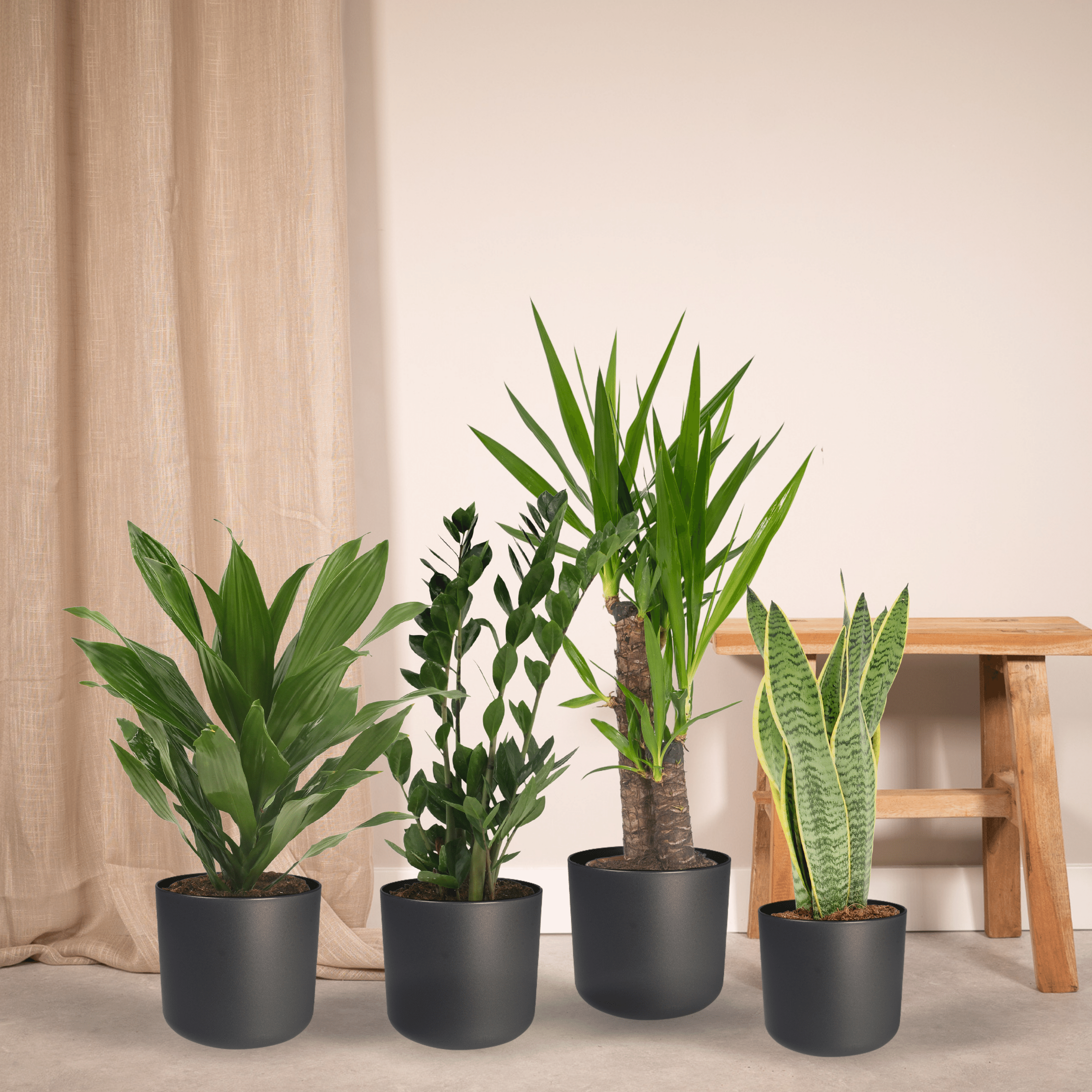 Makkelijke plantenbox - 4 kamerplanten - Diverse hoogtes - Ø14-Ø17 (8720634287173)