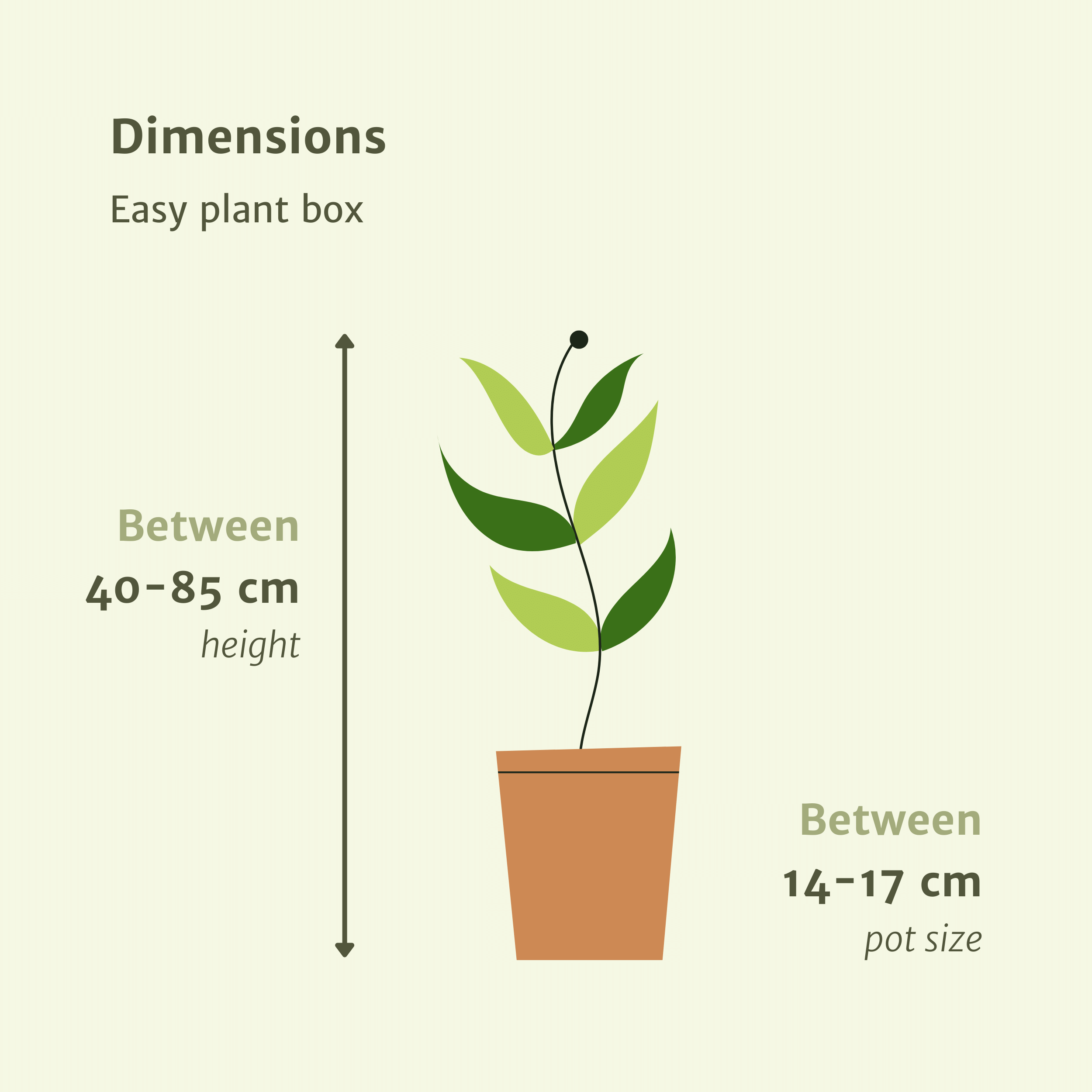 Makkelijke plantenbox - 4 kamerplanten - Diverse hoogtes - Ø14-Ø17 (8720634287173)