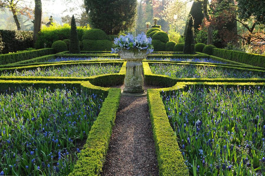 Garden basics 48x Buxus Sempervirens - ↕10-25cm - Ø9cm (50640)