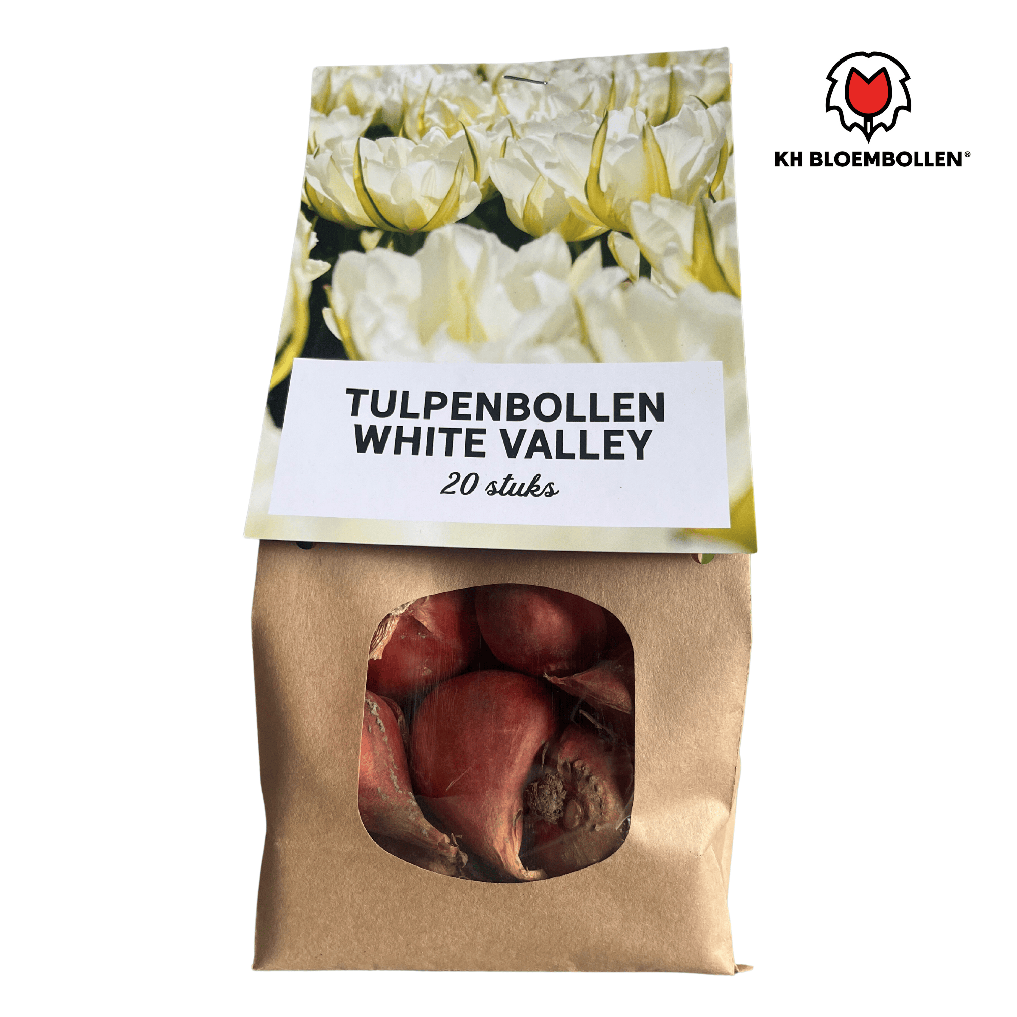 Tulpenbollen White Valley – 20 Stuks | KH Bloembollen® | Witte Tulp – Fris, Elegant & Tijdloos – Voor Tuin of Pot – Maat 11/12 – Vers van de Teler (08720256864691)