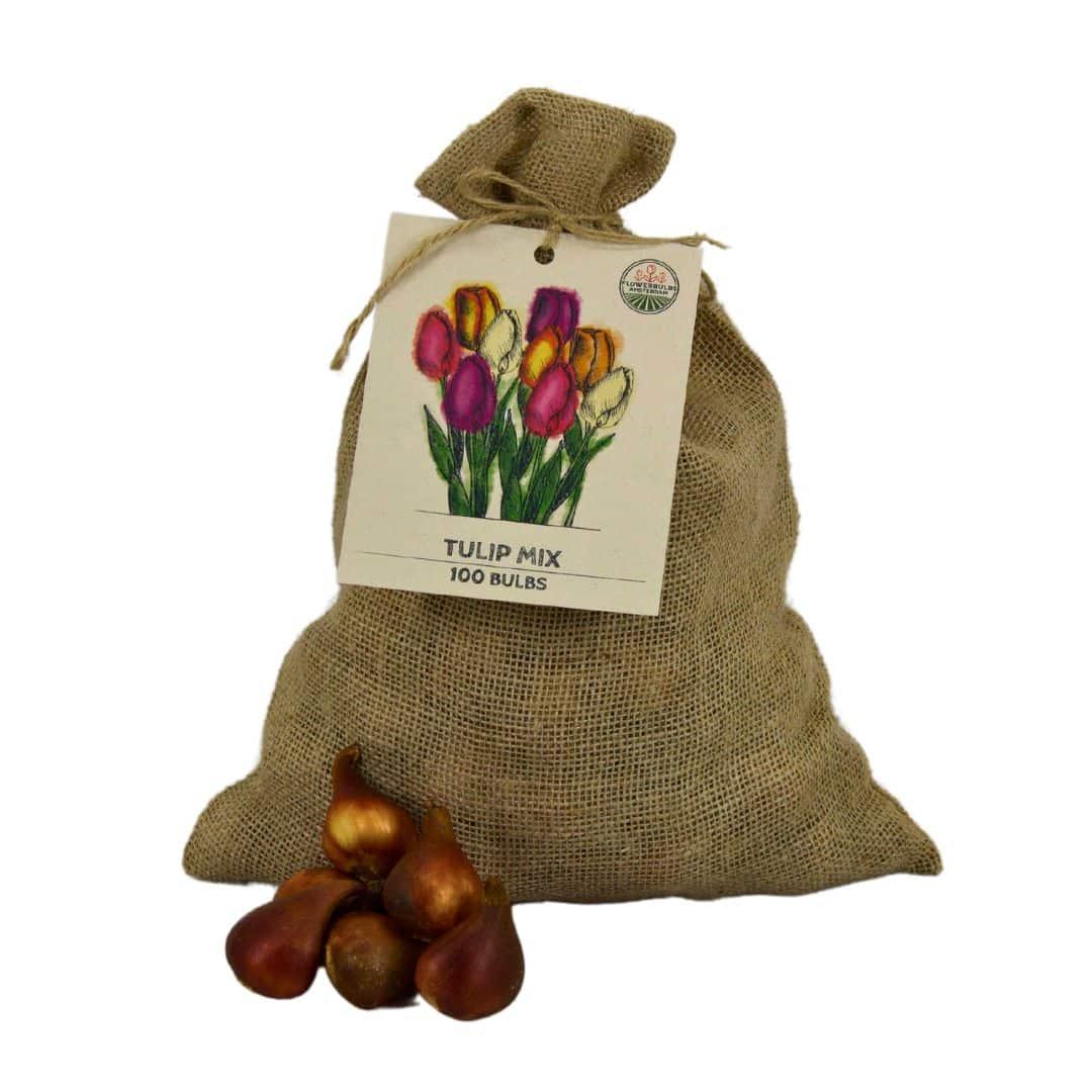 Flowerbulbs amsterdam Super Tulip Mix - Duurzame voordeelzak, 100 bloembollen voor 2,5 m2 bloemenpracht - Maat 12+ (8720938490866)