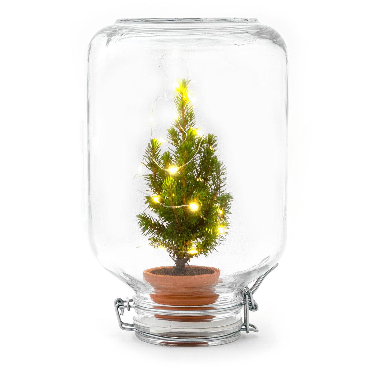 Easyplant - Christmas - Kerst decoratie (8720726958714)