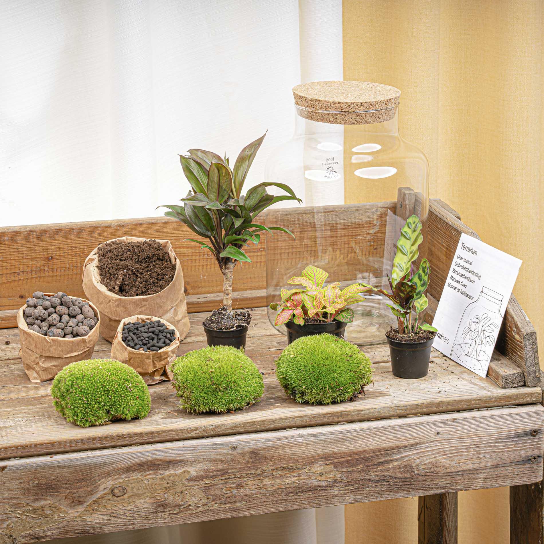 DIY Planten terrarium met licht - Milky Palm - Ø 21 cm ↑ 30 cm (8720872021065)