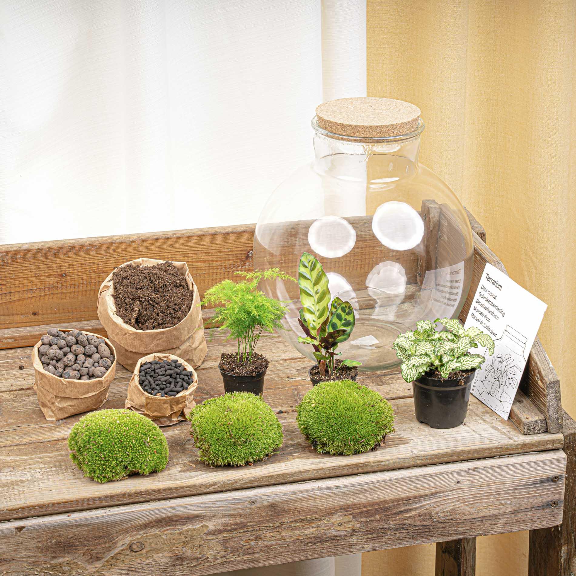 DIY Planten terrarium (met verlichting) - Bolder Bob - Ø 31 cm ↑ 30 cm - Met LED-kurk (8719327448625)