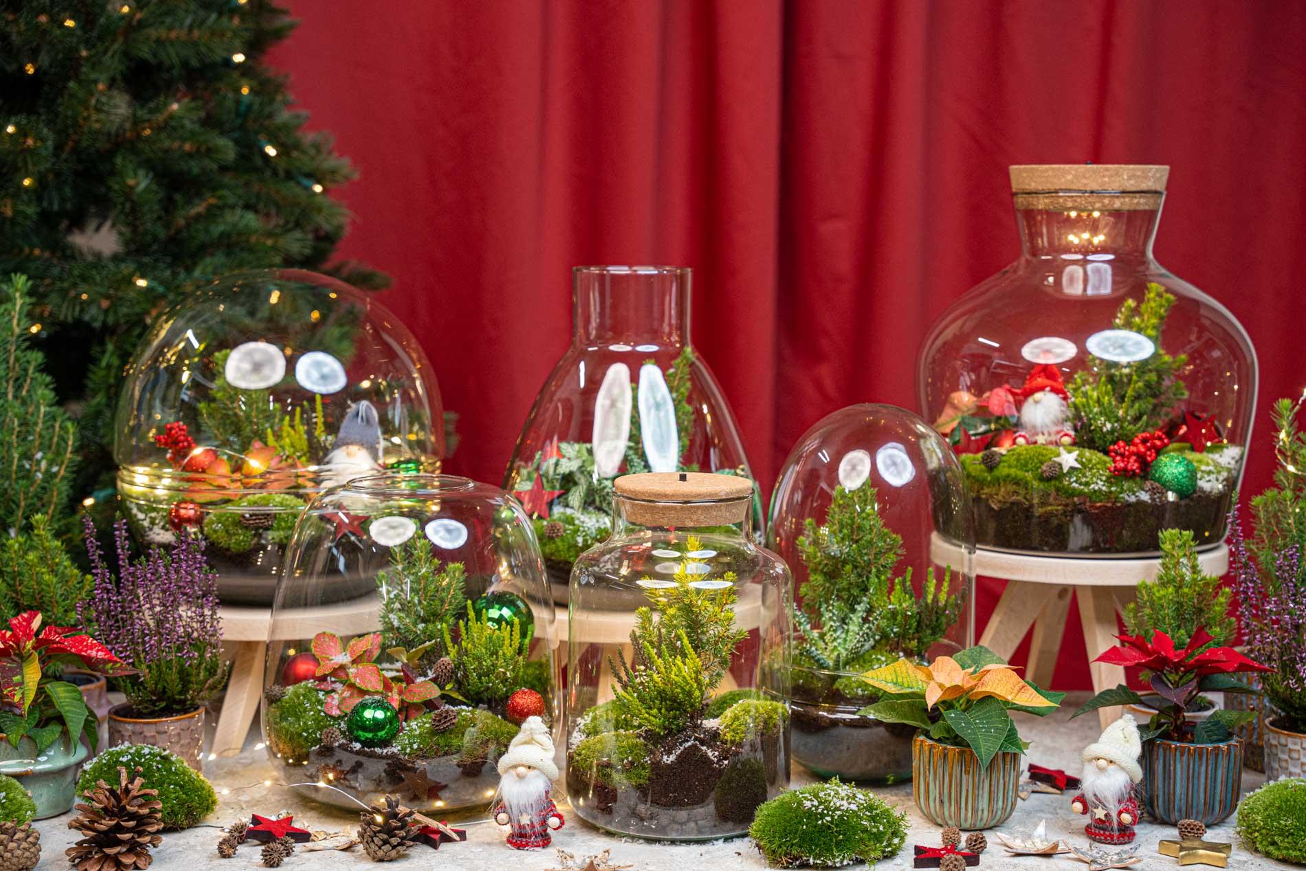 Frosty Kerstmis terrarium - Planten terrarium DIY kit Christmas - - Ø 17 cm ↑ 25 cm (8720872025223)