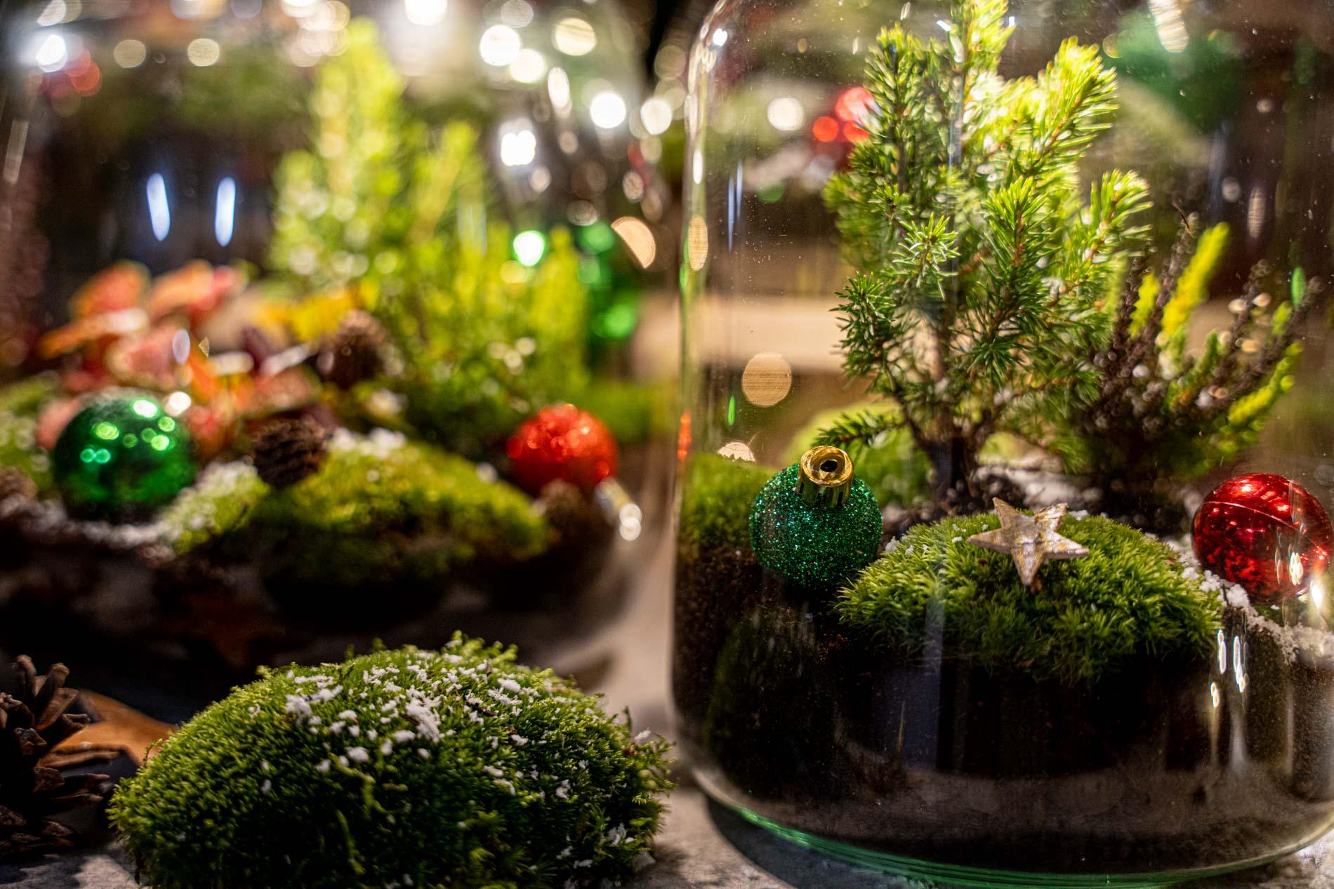 Tinsel Kerstmis terrarium - Planten terrarium - DIY kit Christmas - Ø 19 cm ↑ 20 cm (8720872025339)